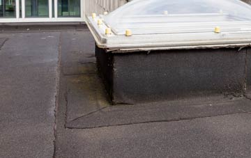 disadvantages of Newton Of Balcormo flat roofs