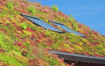 Newton Of Balcormo living roof systems
