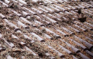 Newton Of Balcormo roof cleaning companies