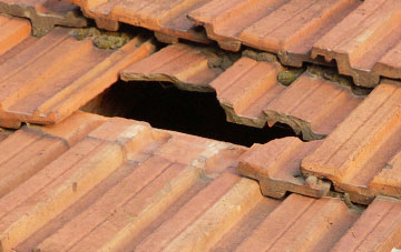 roof repair Newton Of Balcormo, Fife