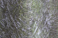 Newton Of Balcormo fibreglass roof work