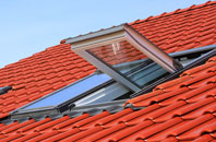 Newton Of Balcormo roof window