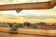 rated Newton Of Balcormo roof window companies